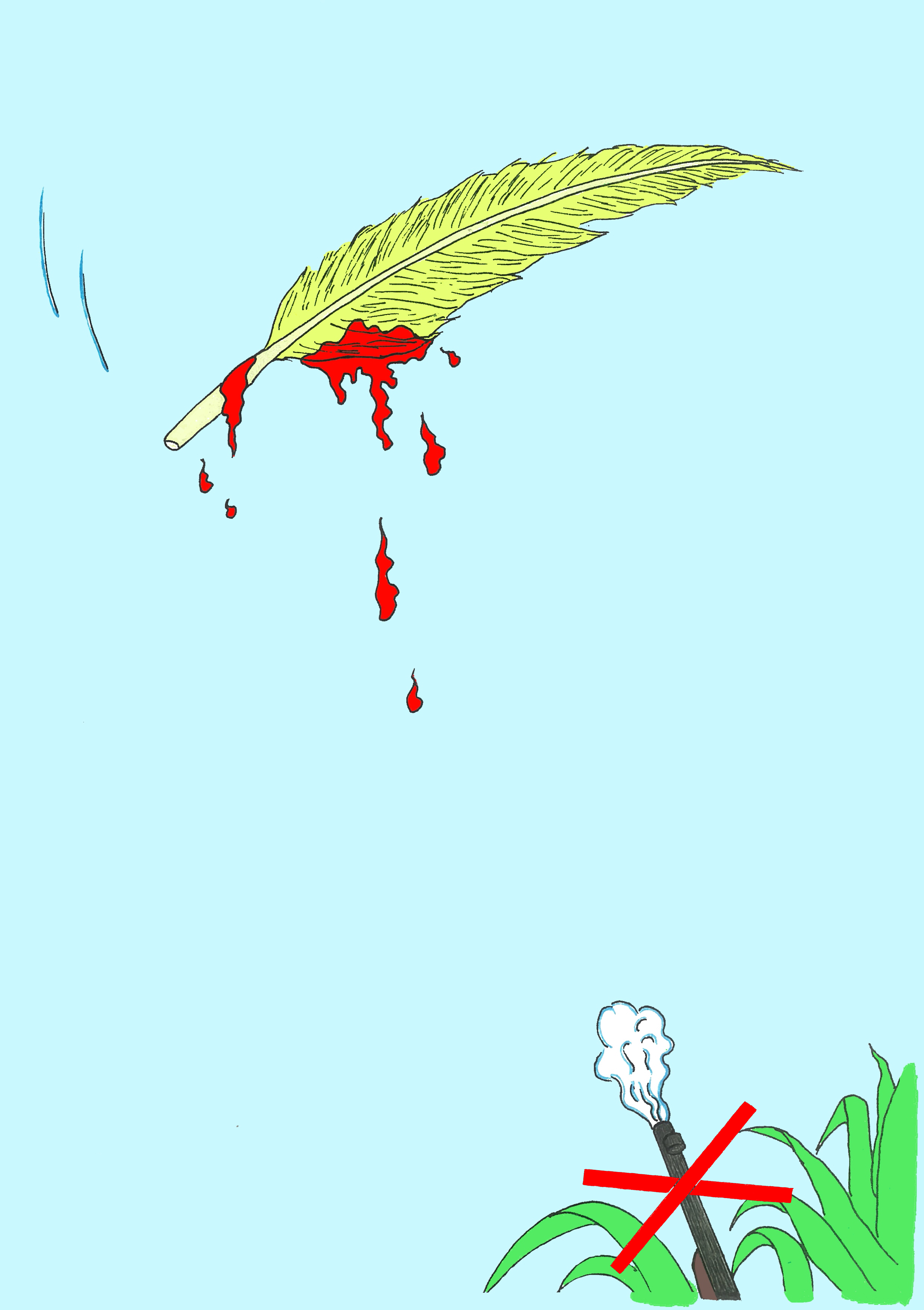 不許獵殺飛禽！